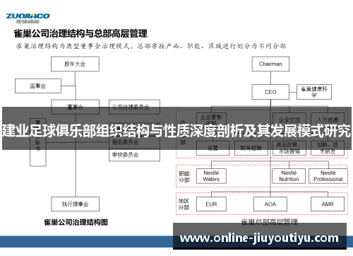 建业足球俱乐部组织结构与性质深度剖析及其发展模式研究